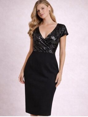 darleen v neck embroidered mesh cocktail dress Dress the Population Darleen V-Neck Embroidered Mesh Cocktail Dress, XXL